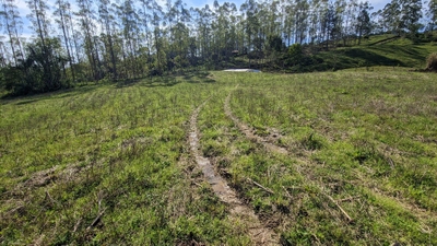 Terreno, 5 hectares - Foto 5