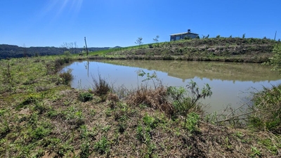 Sítio, 2 quartos, 3 hectares - Foto 4