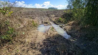 Terreno, 2 hectares - Foto 2