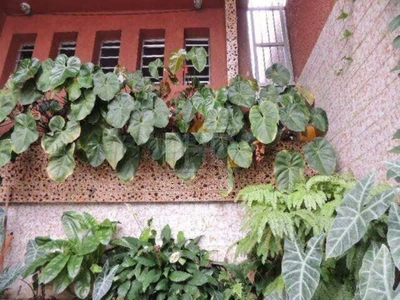 Sobrado, 3 quartos, 264 m² - Foto 2