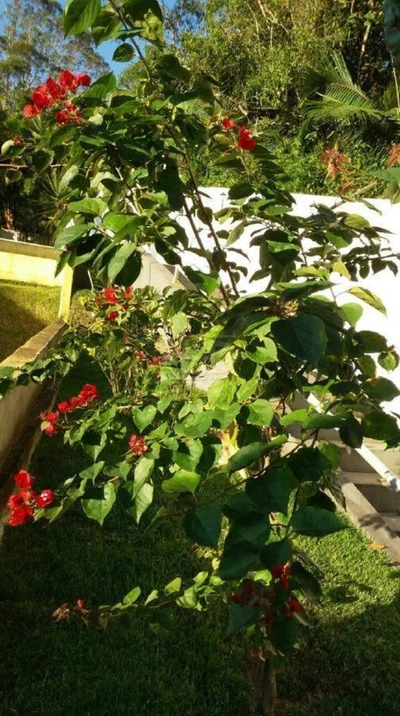 Sobrado, 3 quartos, 300 m² - Foto 3