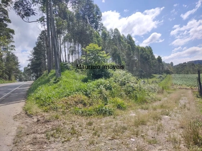 Sítio, 2 quartos, 8 hectares - Foto 4