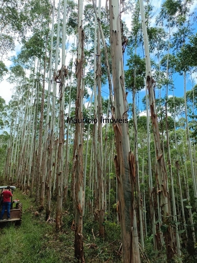 Sítio, 156 m² - Foto 4