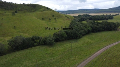 Fazenda-Sítio-Chácara, 184 m² - Foto 4