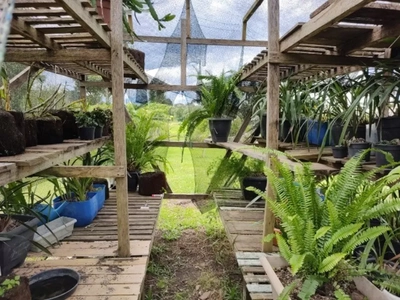 Sítio, 6 quartos, 2 hectares - Foto 1