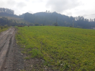 Sítio, 4 quartos, 45 m² - Foto 2