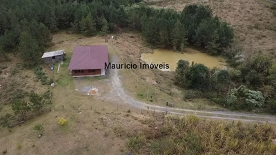 Sítio, 4 quartos, 5 m² - Foto 2