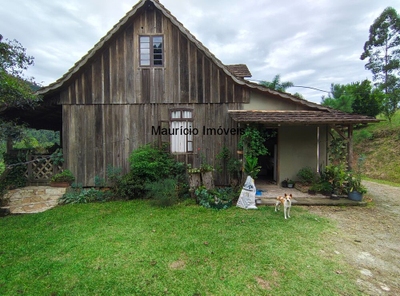 Sítio, 3 quartos, 6 m² - Foto 2