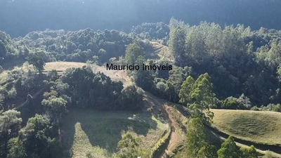 Sítio, 2 quartos, 7 m² - Foto 4