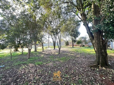 Sítio, 2000 m² - Foto 5