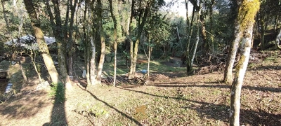 Chácara, 3 quartos, 1 hectares - Foto 4