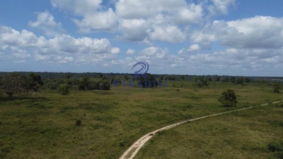 Fazenda, 741 hectares - Foto 5