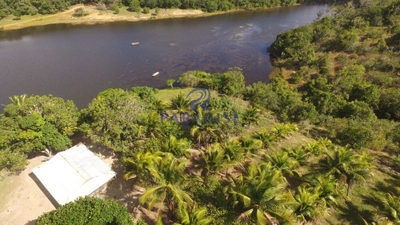 Fazenda-Sítio-Chácara, 90 hectares - Foto 4