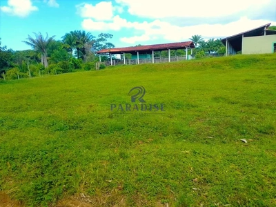 Fazenda-Sítio-Chácara, 780 hectares - Foto 2
