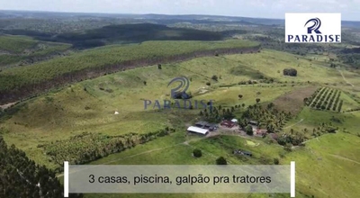 Fazenda, 77 hectares - Foto 1