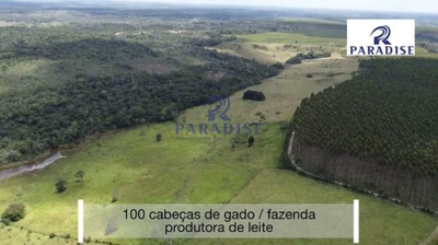 Fazenda, 77 hectares - Foto 4