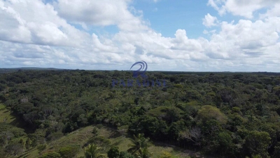 Fazenda, 16 hectares - Foto 5