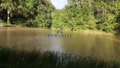 Fazenda-Sítio-Chácara, 465 hectares - Foto 4