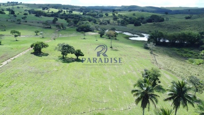 Fazenda, 975 hectares - Foto 1