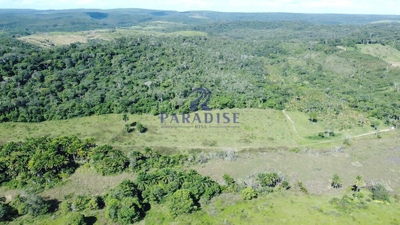 Fazenda, 975 hectares - Foto 4