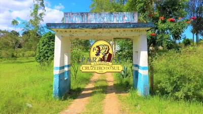 Fazenda-Sítio-Chácara, 161 hectares - Foto 5