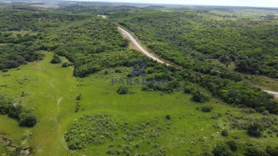 Fazenda, 211 hectares - Foto 2