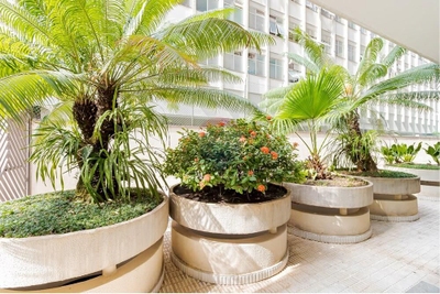 Apartamento, 4 quartos, 170 m² - Foto 3