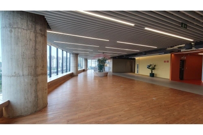 Sala-Conjunto, 1602 m² - Foto 5