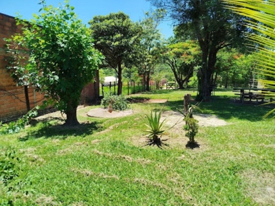 Chácara, 1 quarto, 2000 m² - Foto 5