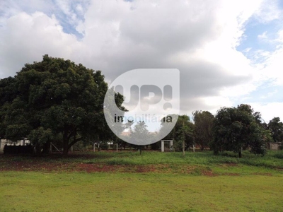 Chácara, 3 quartos, 1 hectares - Foto 2