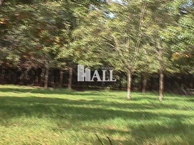 Fazenda, 73 hectares - Foto 2