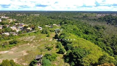 Terreno, 7 hectares - Foto 4