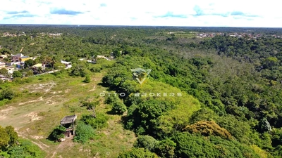 Terreno, 7 hectares - Foto 3