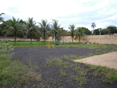 Chácara, 2 quartos, 5000 m² - Foto 2