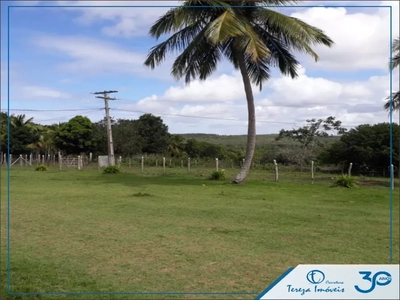 Fazenda, 4 quartos - Foto 1