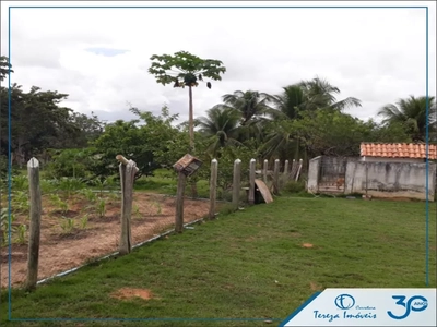 Fazenda, 4 quartos - Foto 4