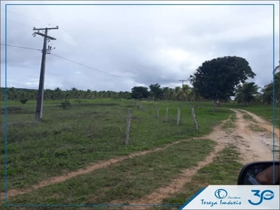 Fazenda, 4 quartos - Foto 3