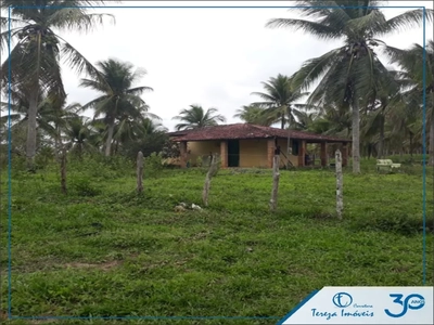 Fazenda, 4 quartos - Foto 2