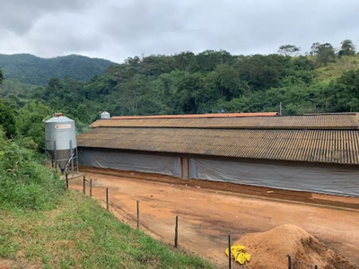 Fazenda, 10 hectares - Foto 4