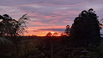 Chácara, 3 quartos, 3 hectares - Foto 4