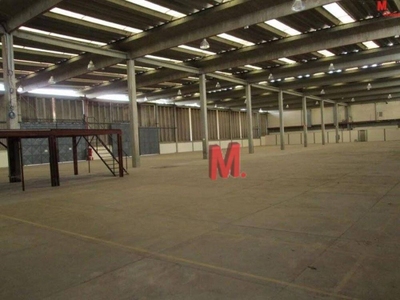 Depósito-Galpão, 4695 m² - Foto 5