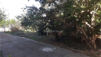 Chácara, 5 quartos, 4250 m² - Foto 1