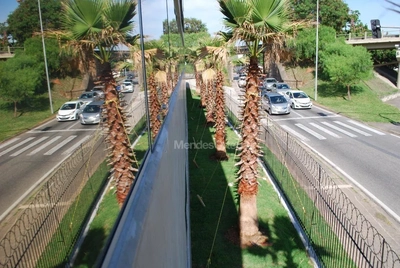 Depósito-Galpão, 1100 m² - Foto 4