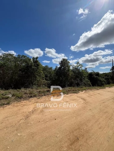 Terreno, 5000 m² - Foto 4