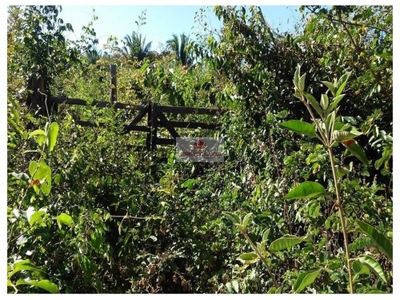 Terreno, 2 m² - Foto 4