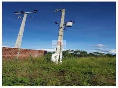 Casa, 4 quartos, 25000 m² - Foto 4