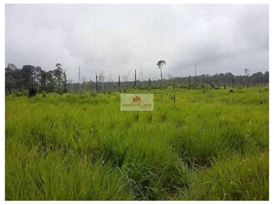 Fazenda-Sítio-Chácara, 69 m² - Foto 2