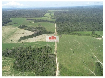 Fazenda-Sítio-Chácara, 10 m² - Foto 3