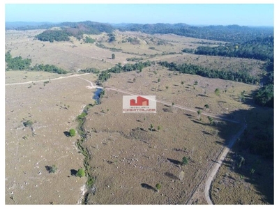 Fazenda-Sítio-Chácara, 10 m² - Foto 2