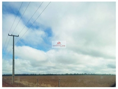 Fazenda-Sítio-Chácara, 2400 m² - Foto 2